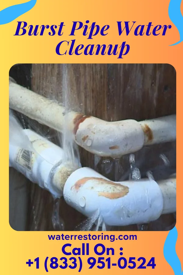 Burst Pipe Water Cleanup in Minerva, OH