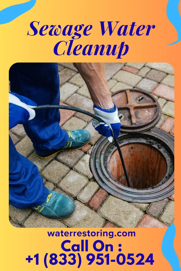 Sewage Water Cleanup in Minerva, OH