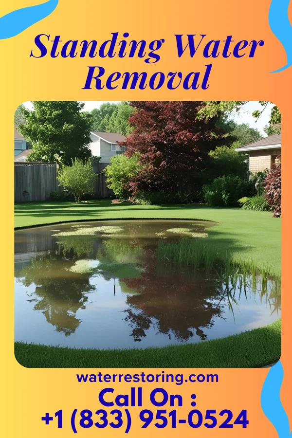 Standing Water Removal in Minerva, OH